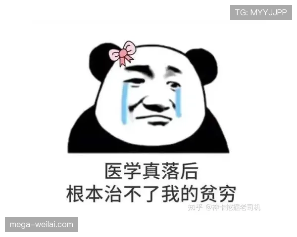 H组潜在黑马全景观察 H组潜在黑马全景观察